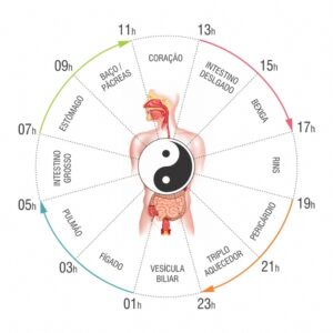 Horários da dietoterapia chinesa